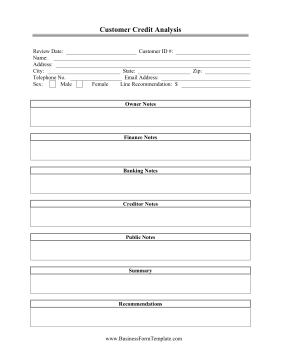 Customer Credit Analysis Business Form Template