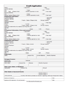 Credit Application Business Form Template
