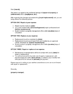 Tenant Property Damage Letter Business Form Template