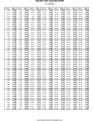 13.25% Sales Tax Calculator Business Form Template