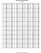 19.75% Sales Tax Calculator Business Form Template